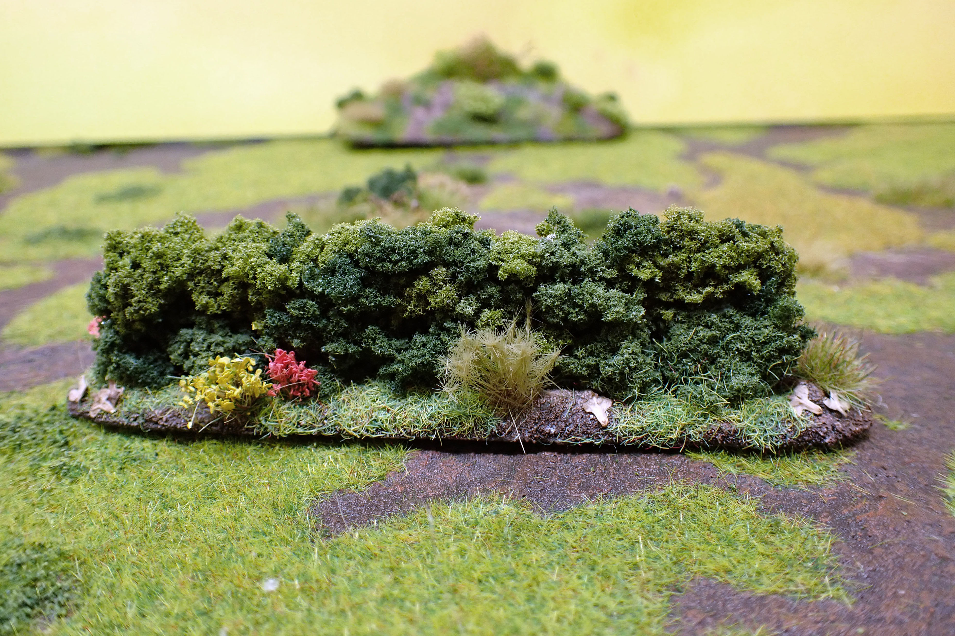 Hedge