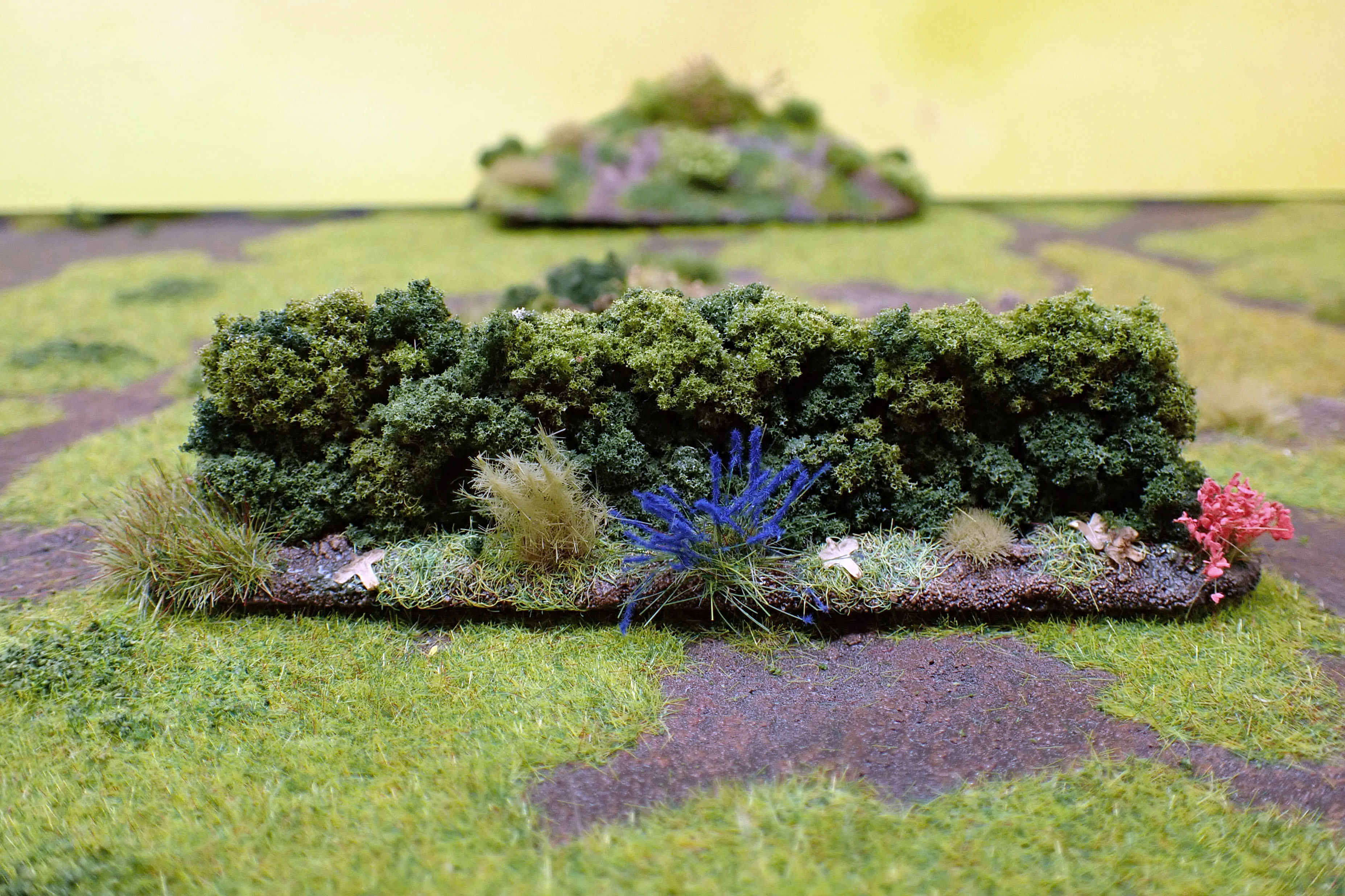 Hedge